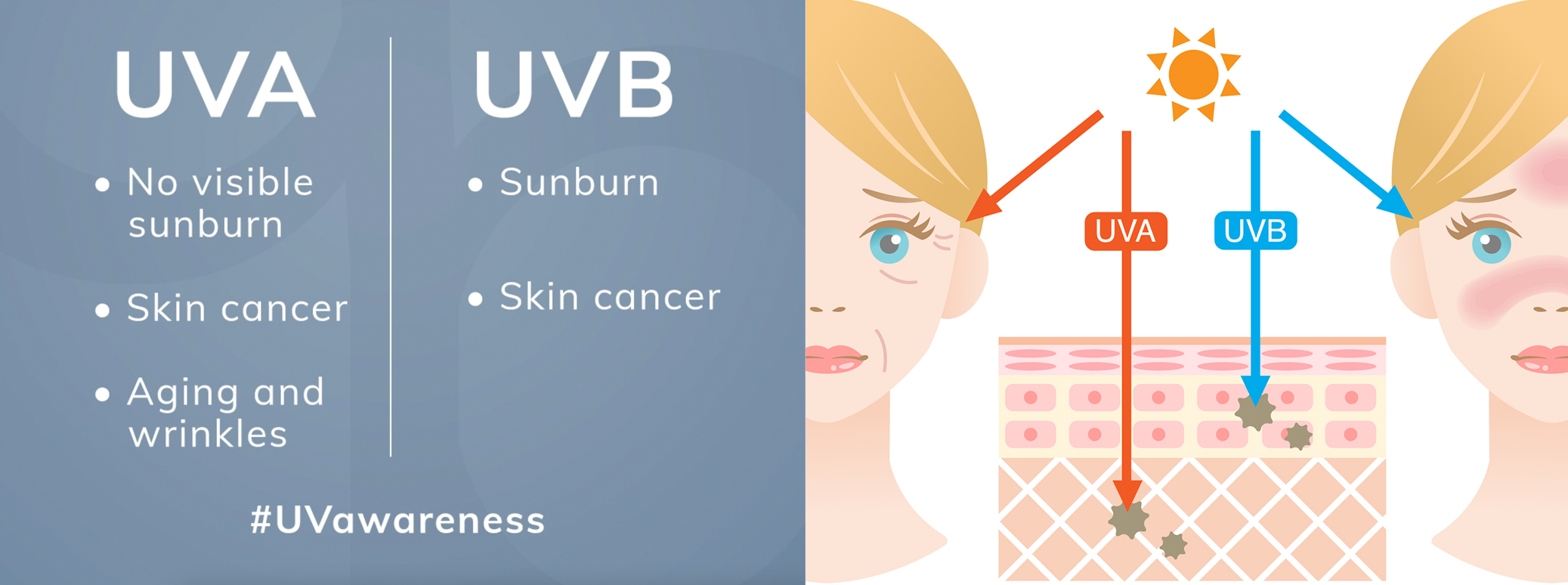 UVA and UVB ray differences